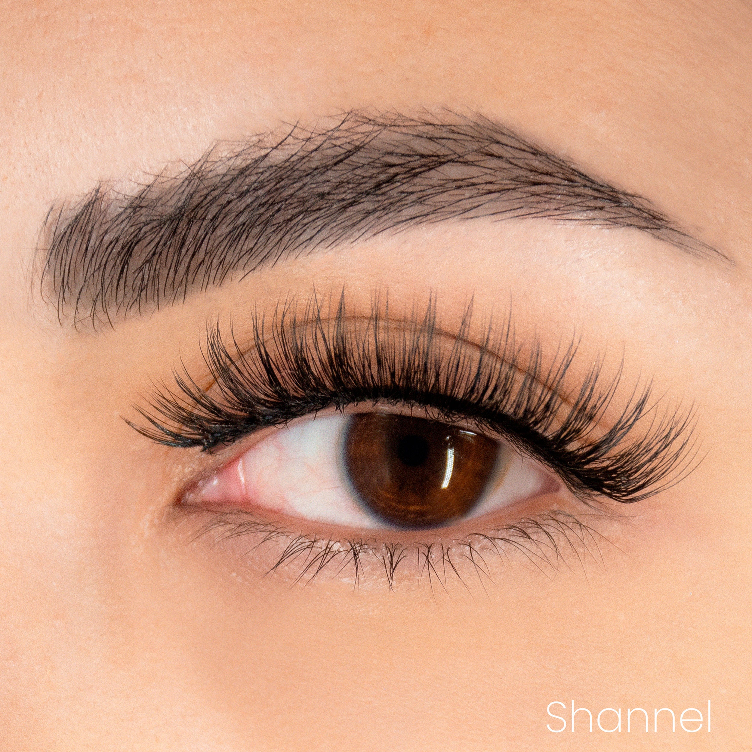 Show Time Lashes - Pestañas (5 modelos a elegir)